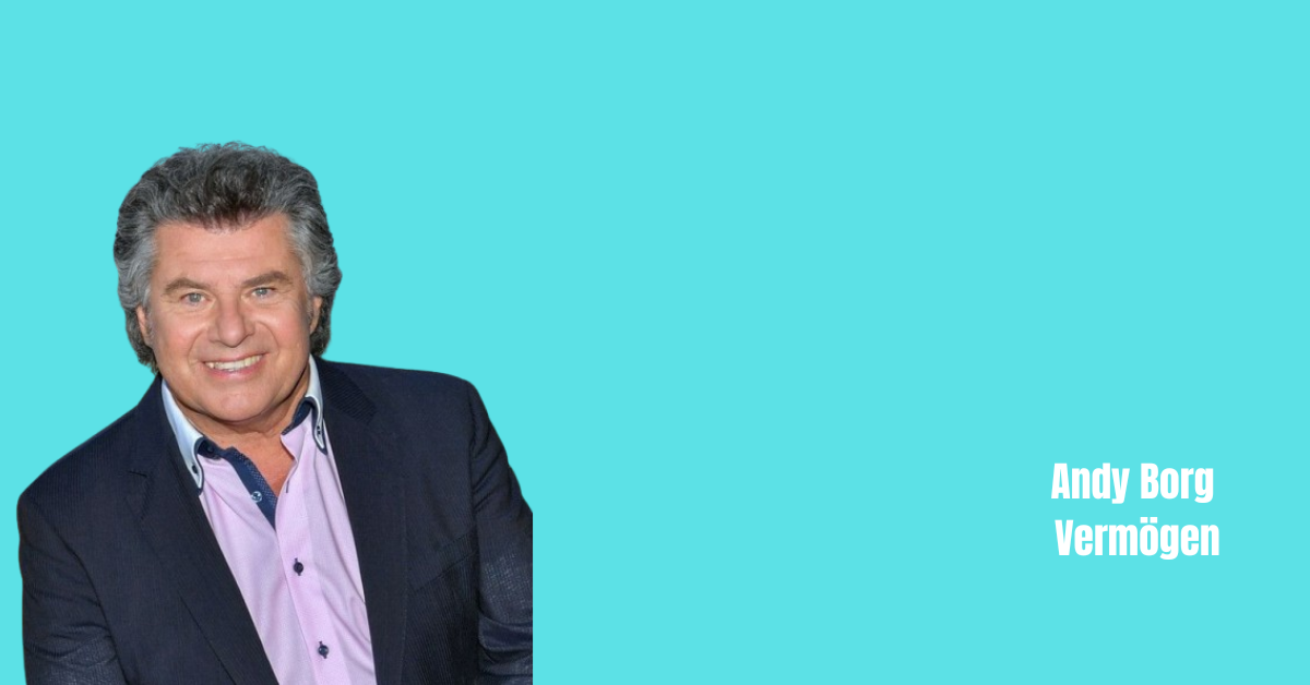 Andy Borg Vermögen