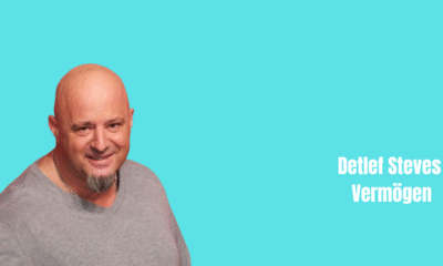 Detlef Steves Vermögen