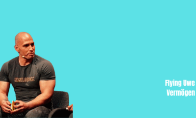 Flying Uwe Vermögen