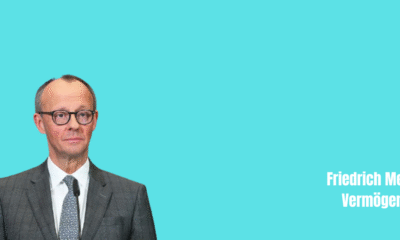 Friedrich Merz Vermögen