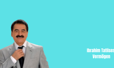 Ibrahim Tatlises Vermögen