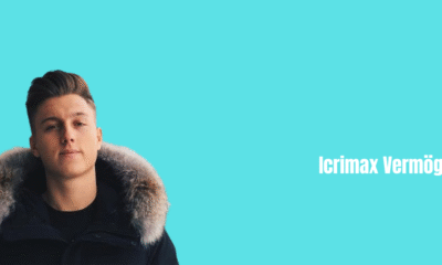 Icrimax Vermögen