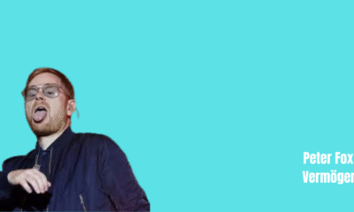 Peter Fox Vermögen