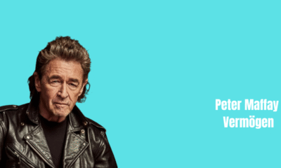 Peter Maffay Vermögen