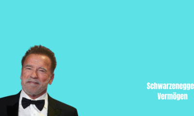 Schwarzenegger Vermögen