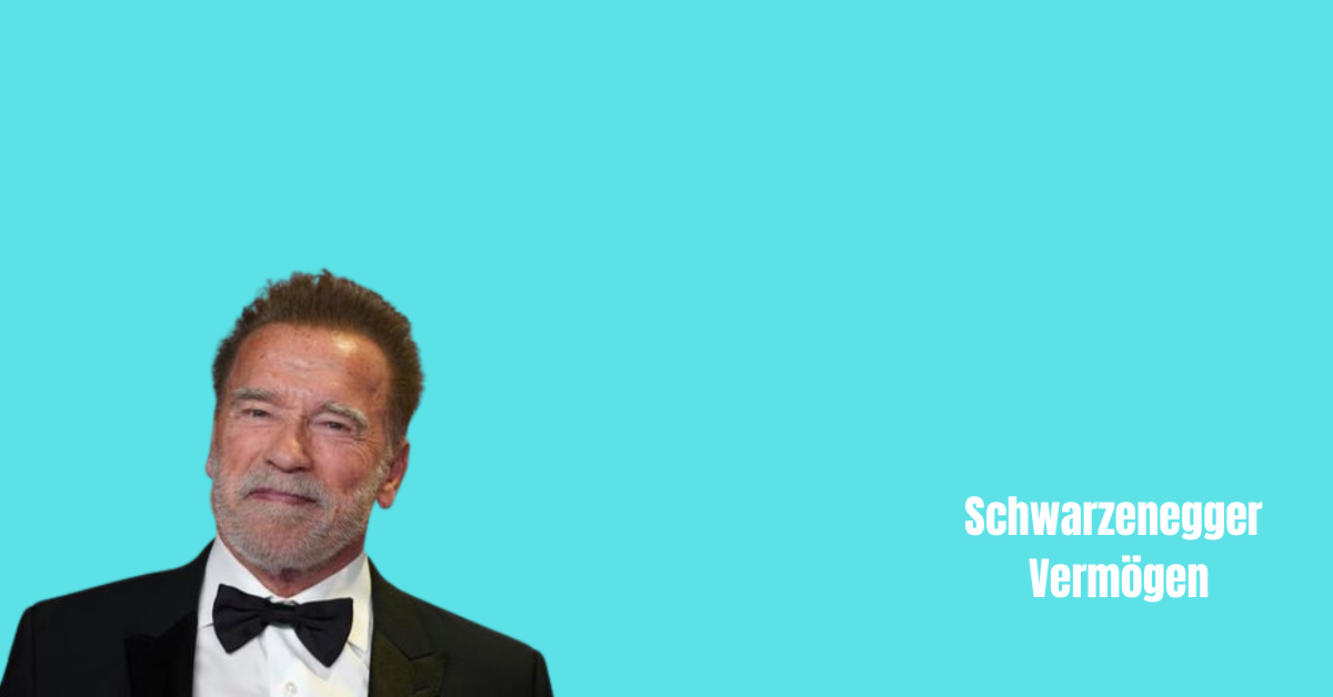 Schwarzenegger Vermögen