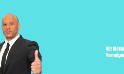 Vin Diesel Vermögen
