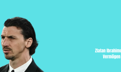 Zlatan Ibrahimovic Vermögen
