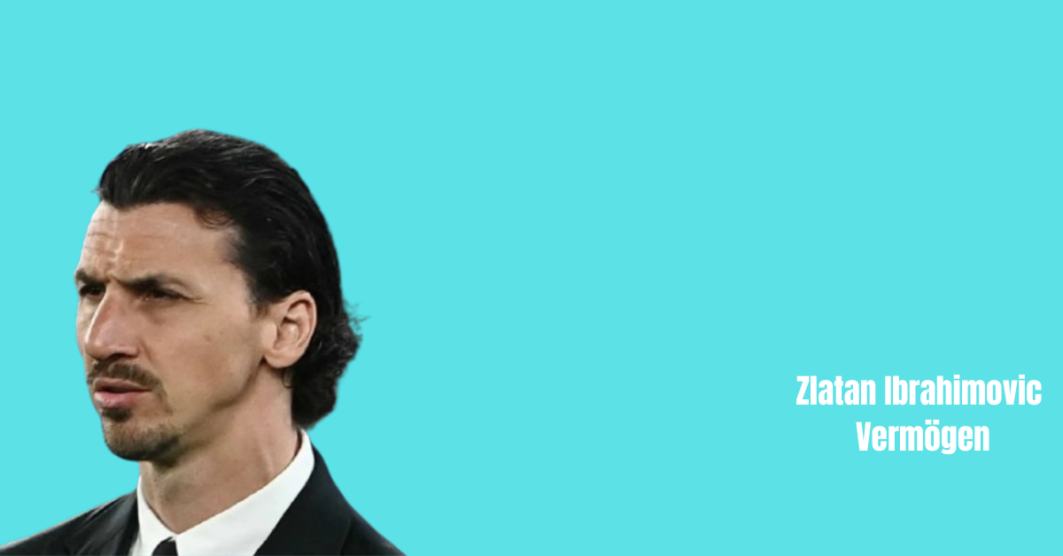 Zlatan Ibrahimovic Vermögen