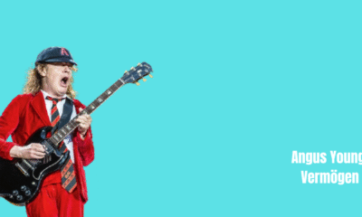 Angus Young Vermögen