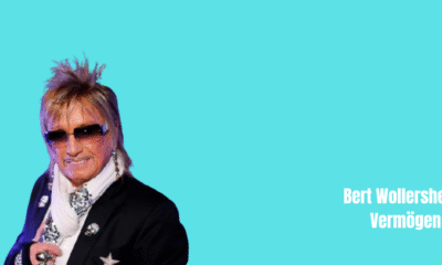 Bert Wollersheim Vermögen