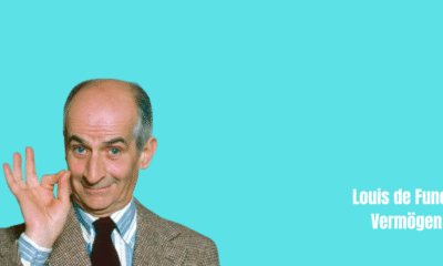 Louis de Funes Vermögen