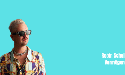 Robin Schulz Vermögen