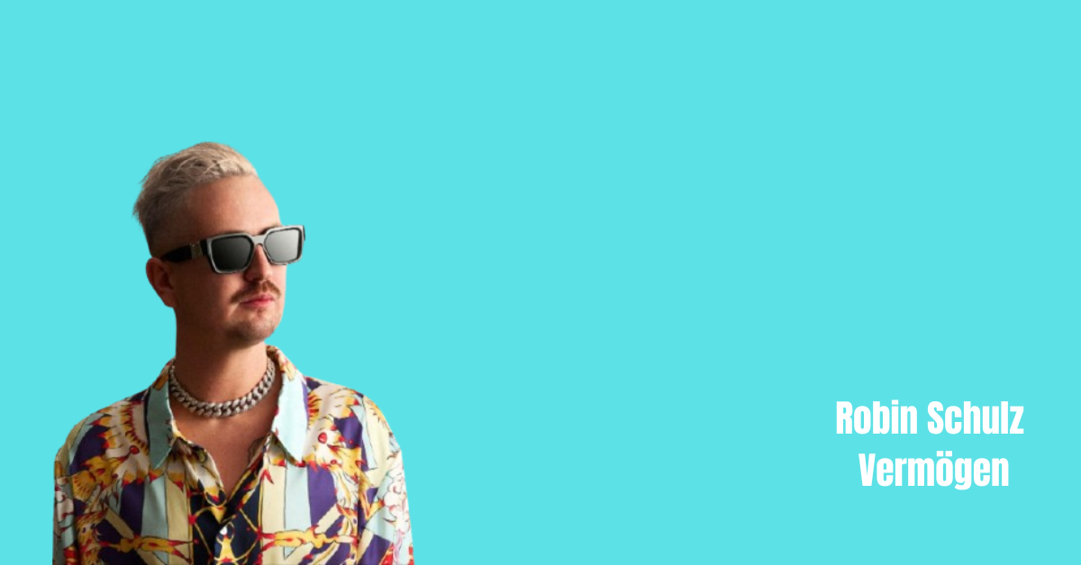 Robin Schulz Vermögen