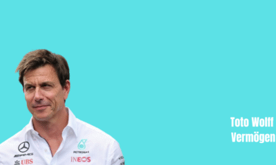 Toto Wolff Vermögen